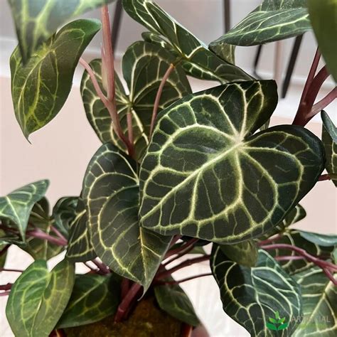 fake leaves for crafts|are artificial plants tacky.